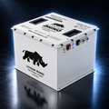 48V 170Ah Lithium Rhino 300a BMS Conversion Kit